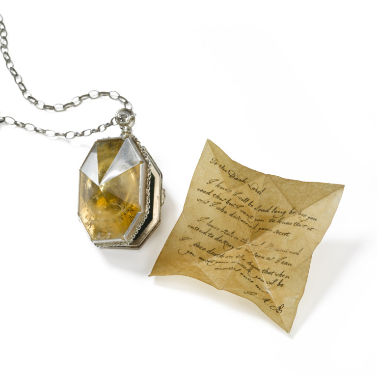 Das Medaillon von Regulus Arcturus Black bei Nook's kaufen - Abbildung 1