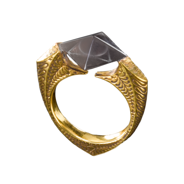 Gaunts Ring (Horkrux-Ring) bei Nook's kaufen - Abbildung 1